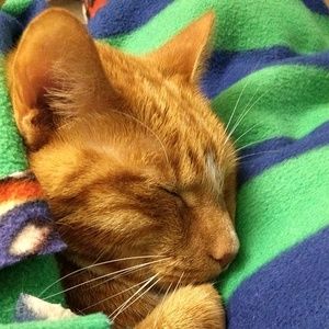 Meet your Posher, Jacqlyn